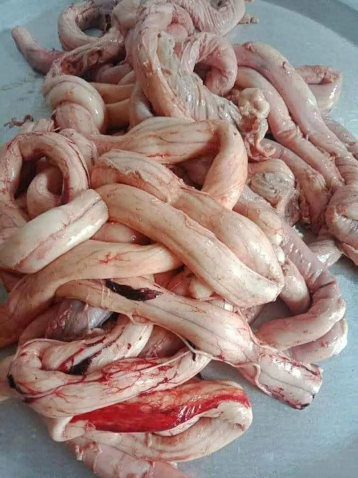 VV TỦY BÒ ( SỐ KG TRÊN THÙNG)